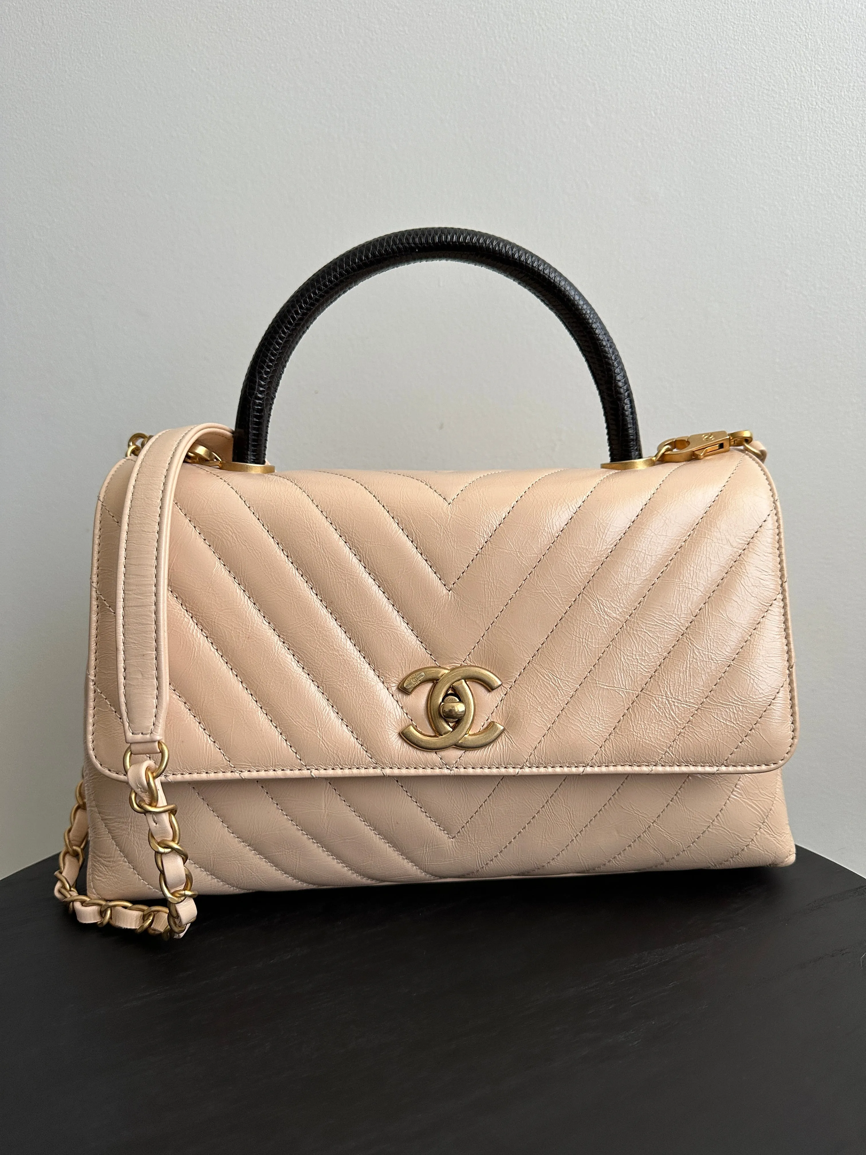 Chanel Nude Chevron Aged Leather and Exotic Top Handle Flap Bag