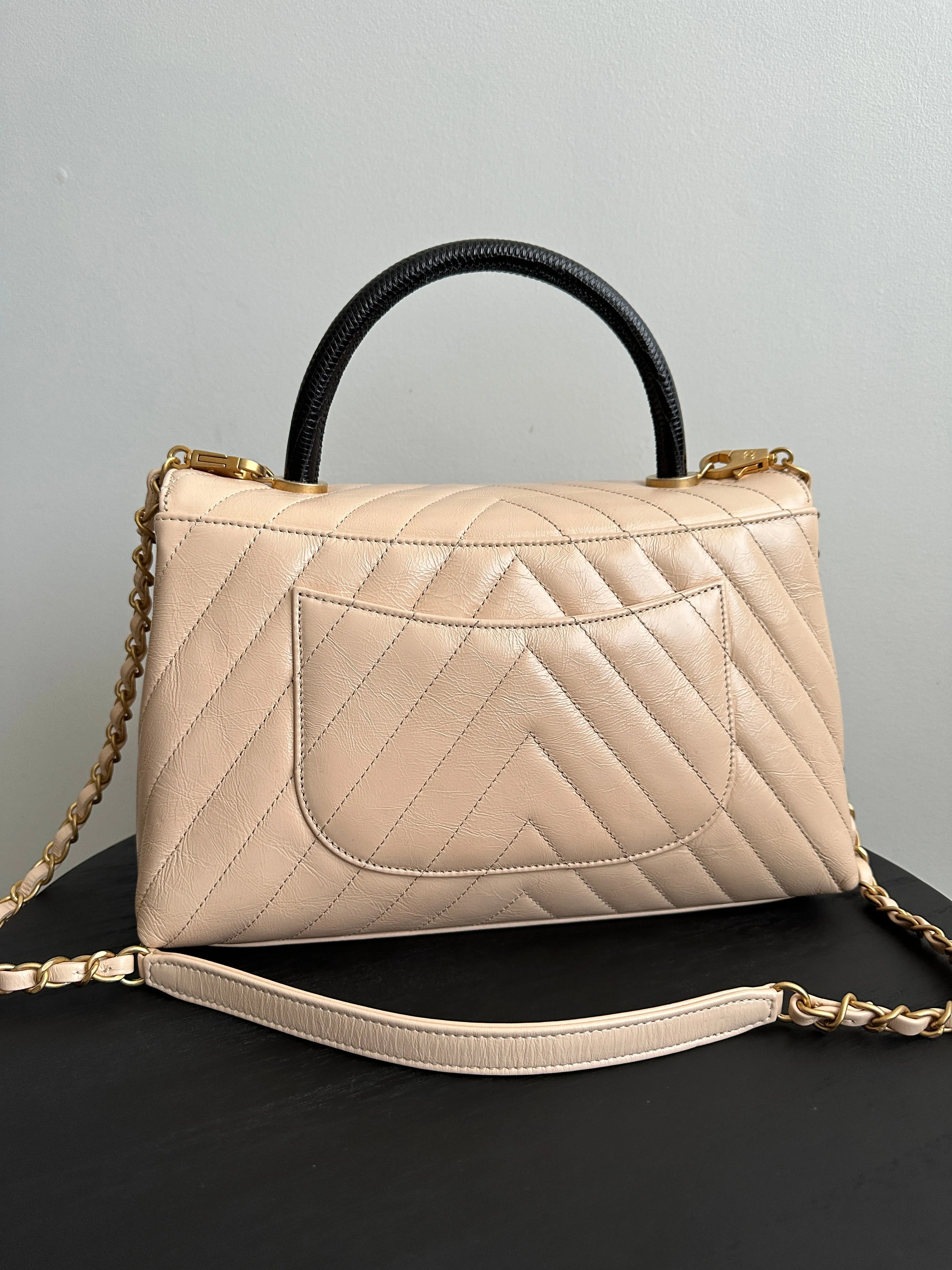 Chanel Nude Chevron Aged Leather and Exotic Top Handle Flap Bag