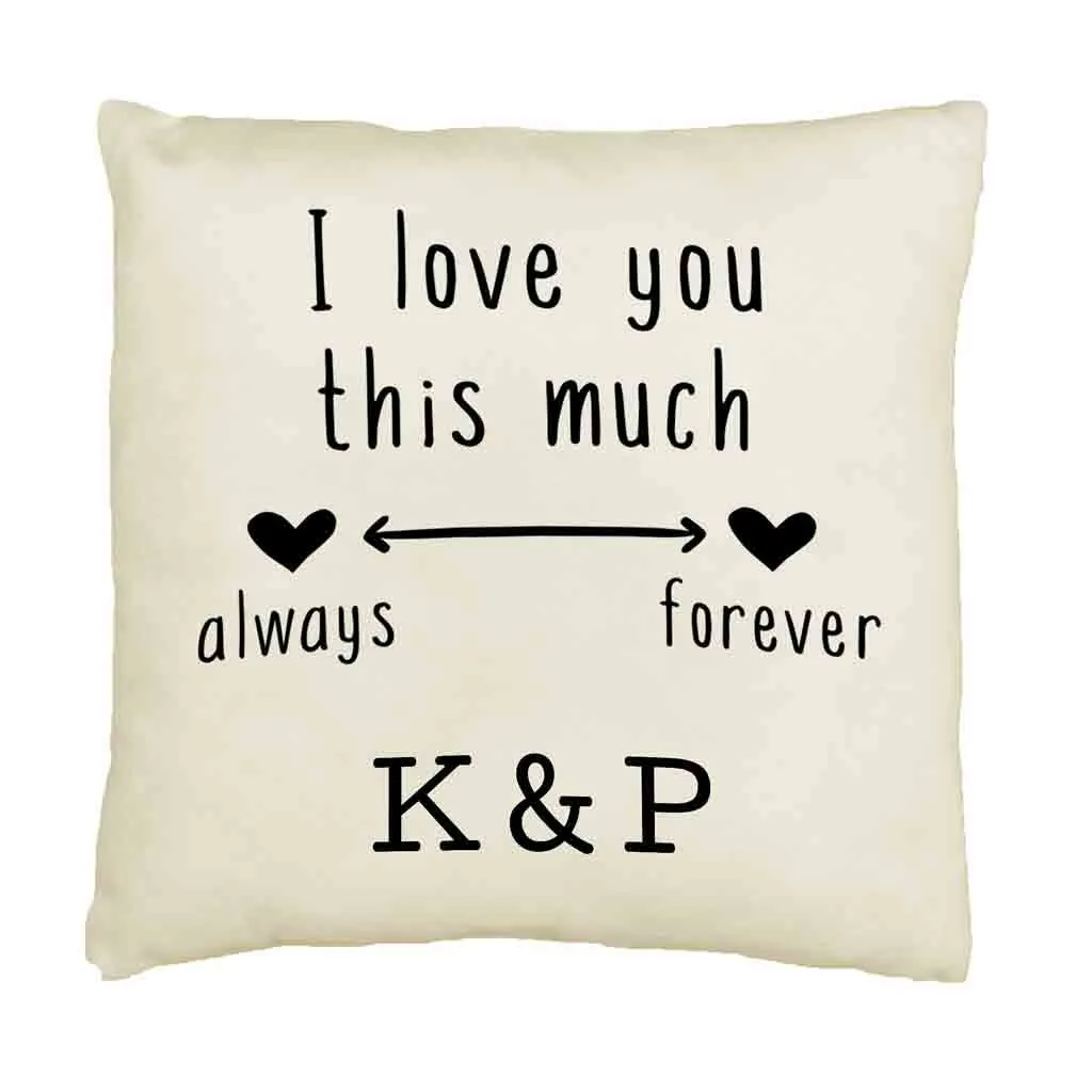 Love You Always and Forever 2 Year Anniversary Pillow Cover