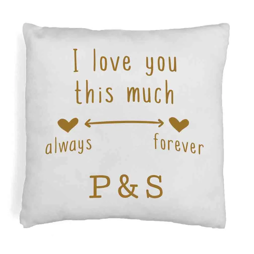 Love You Always and Forever 2 Year Anniversary Pillow Cover